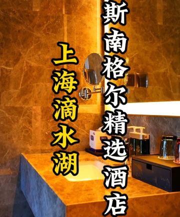 上海滴水湖斯南格尔精选酒店图片