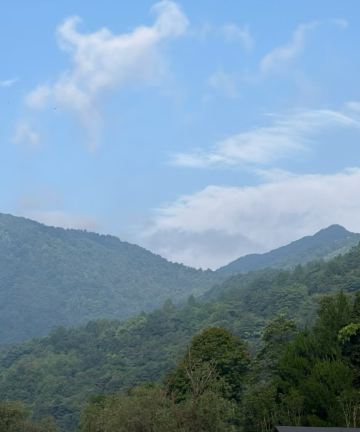 桐庐清境山庄·心动休闲农场图片