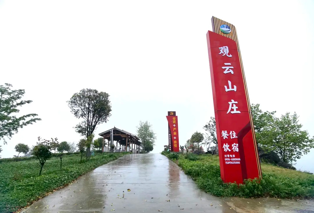 陕西镇巴:茶园变景区，茶旅融合助力乡村振兴