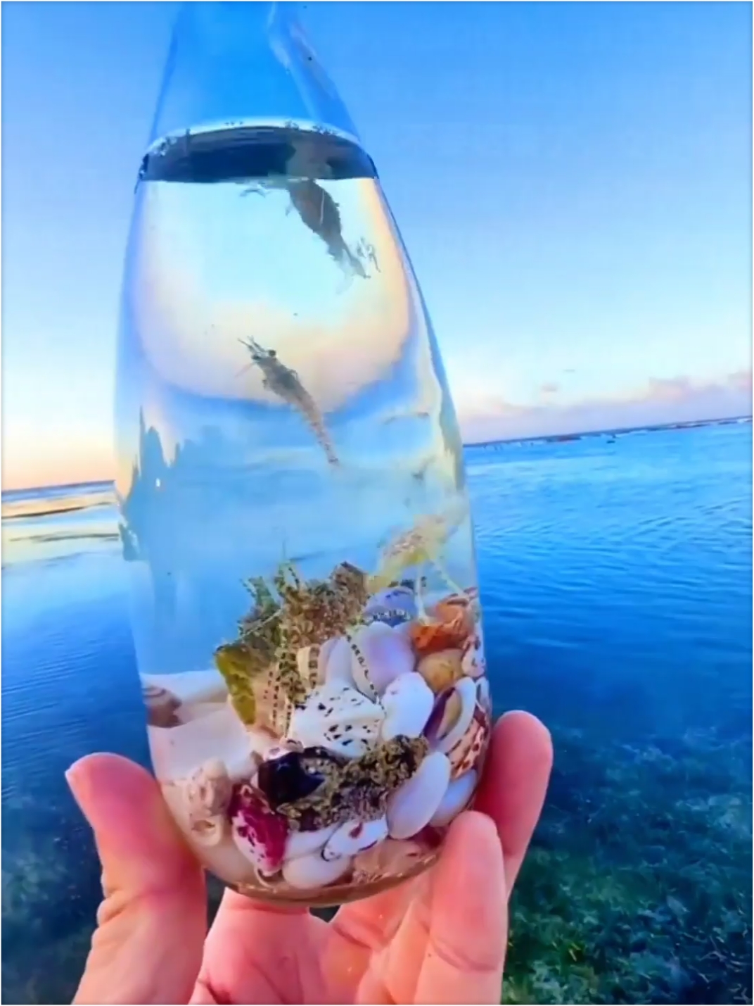 原来无滤镜的玻璃海可以这么美，当然要分享给你啦