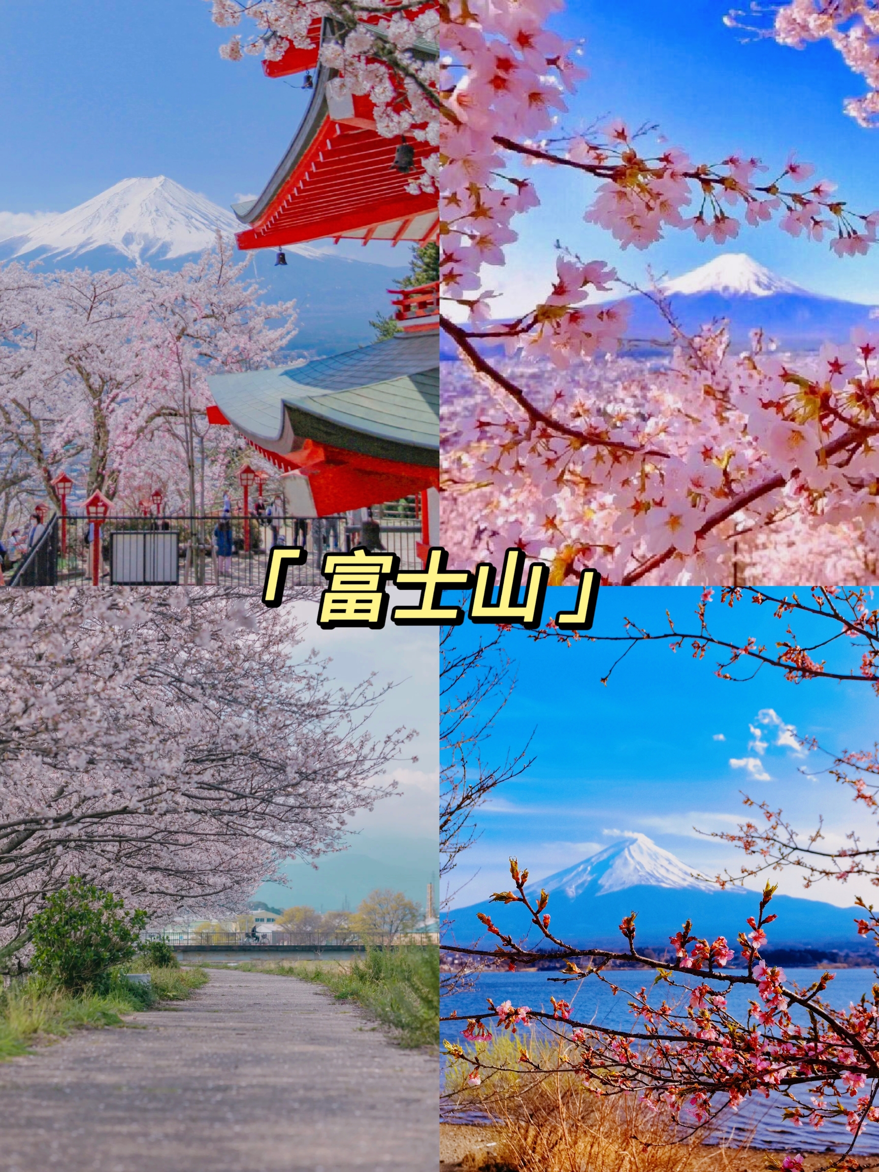 富士山下的樱花🌸绝美