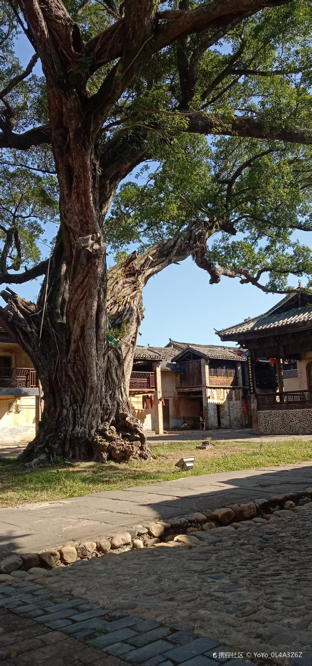 说说好听的大实话:火车站滴车到古塘秋月山庄