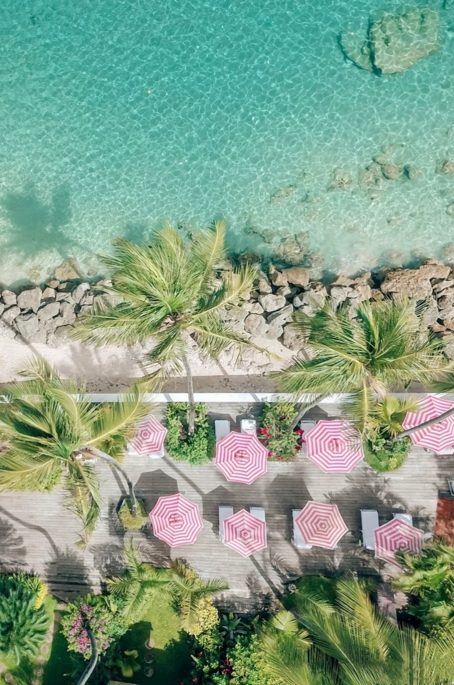 巴巴多斯|粉色天堂，加勒比海滩浪漫避风港