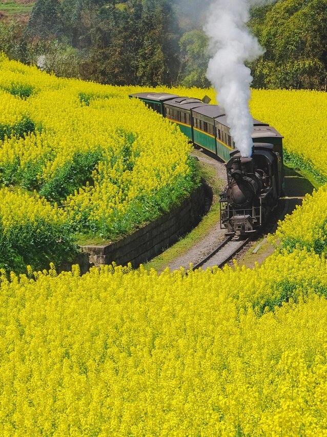 开往春天的火车——嘉阳小火车🚃