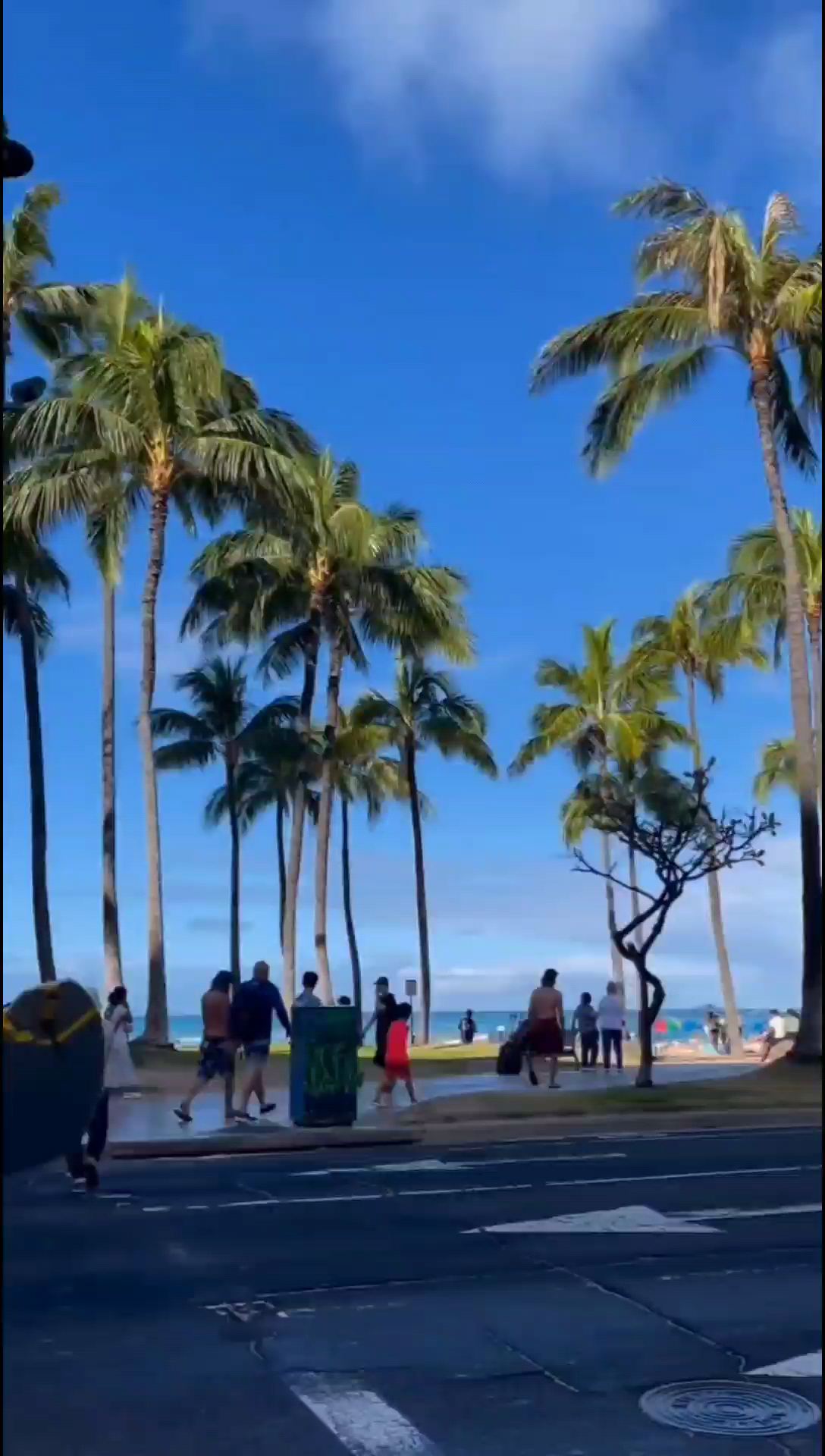 美国夏威夷，距离美国本土最远的一个洲，夏威夷以旅游度假而闻名全世界，是“太平洋的一颗明珠”。提到夏威