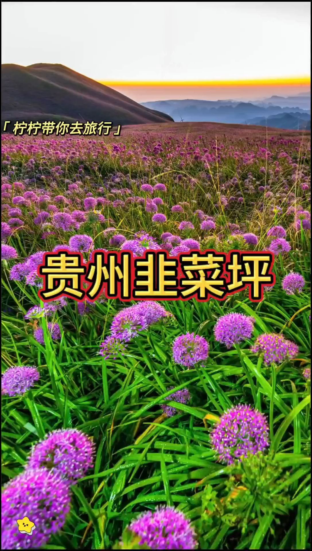 贵州韭菜坪|千万别错过阿西里西万亩花海！