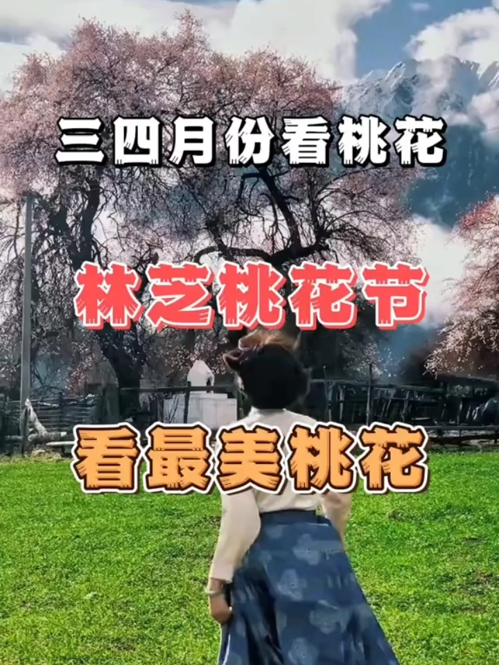 三四月份春游去哪里，西藏林芝桃花节等你来#看西藏美景方觉人间值得 #旅行 #旅行推荐官 #想去的地方