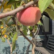 ‘’虚怀若谷‘’