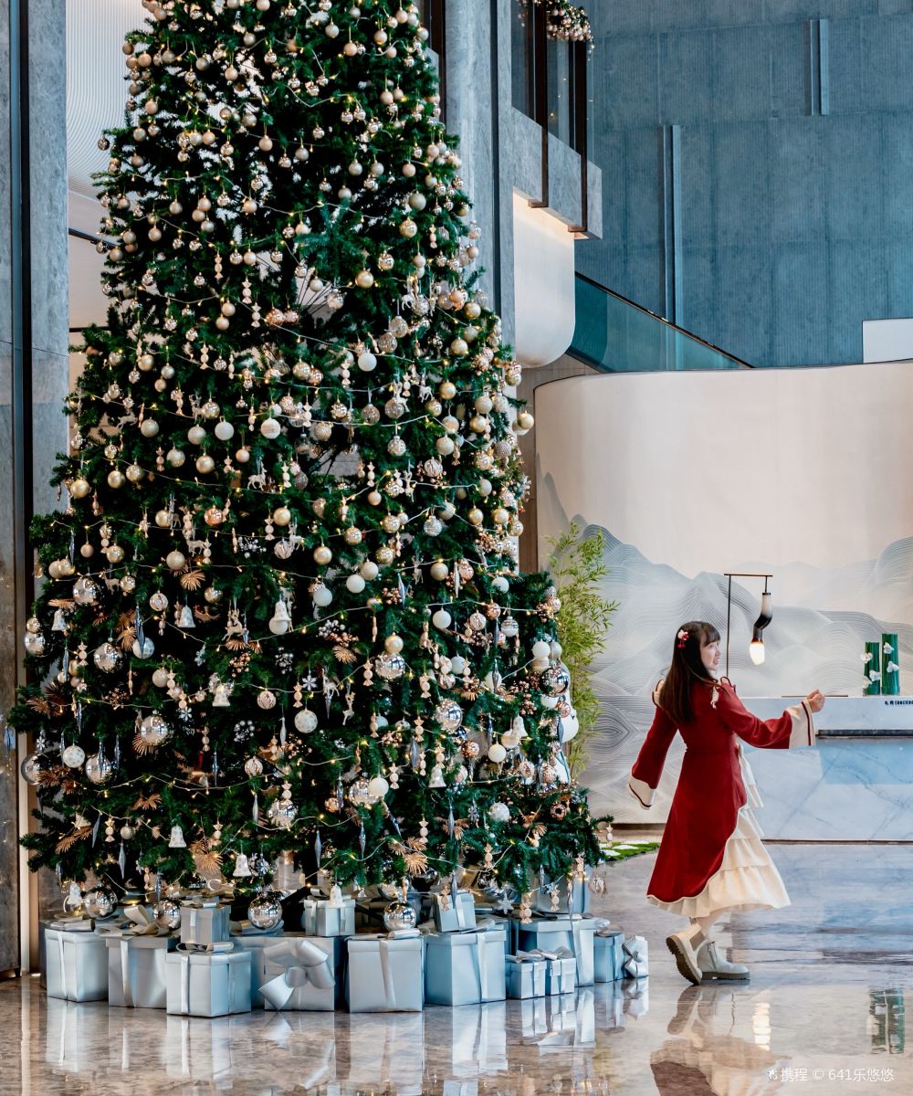 成都兴隆湖润扬希尔顿逸林酒店(西博城店)图片