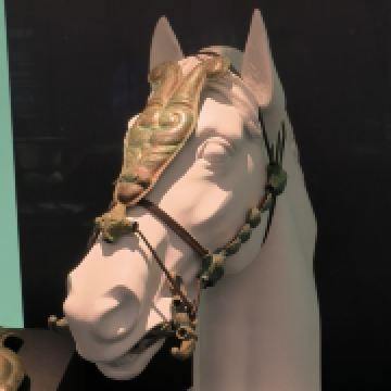 圣马丁赫莱斯司马炎