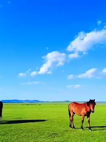 太仆寺旗—旅游度假避暑胜地