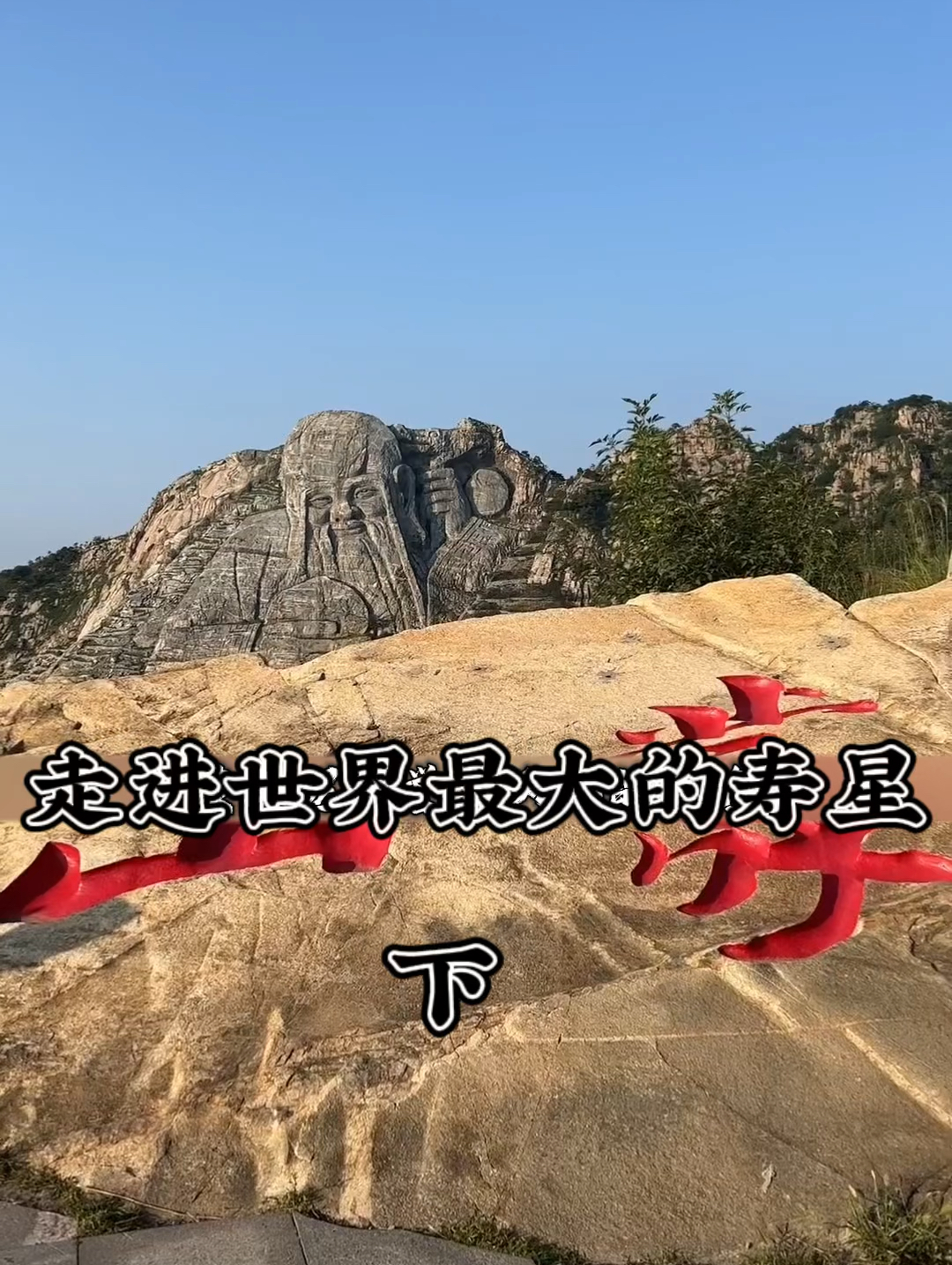 一起去看看世界最大的寿星 #旅游推荐官 #旅游达人攻略 #世界最大的寿星