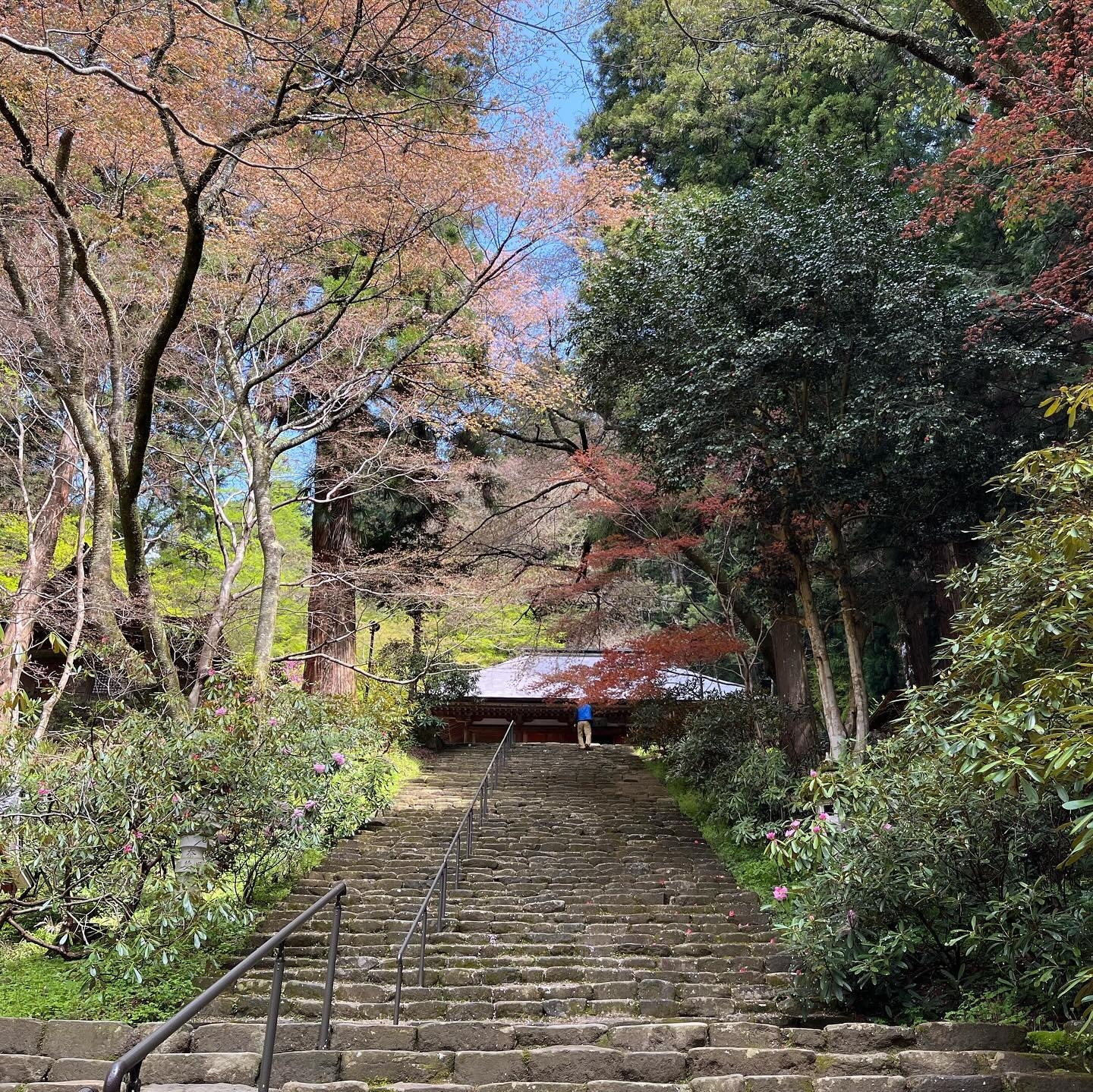 日本室生寺：古寺禅意，女性信仰之圣地