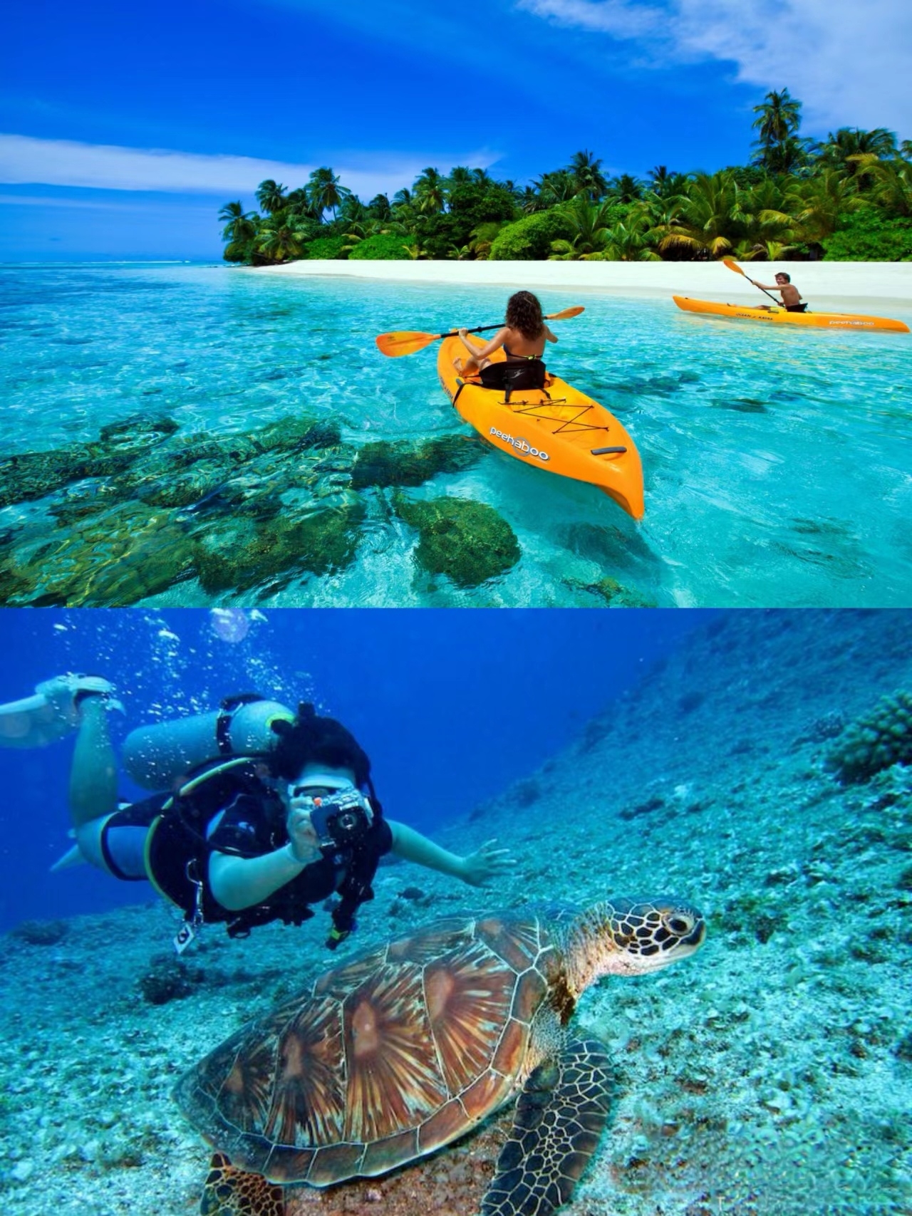 放弃马代，不挤巴厘岛推荐冷门小众旅游地﹣-斯里兰卡！
