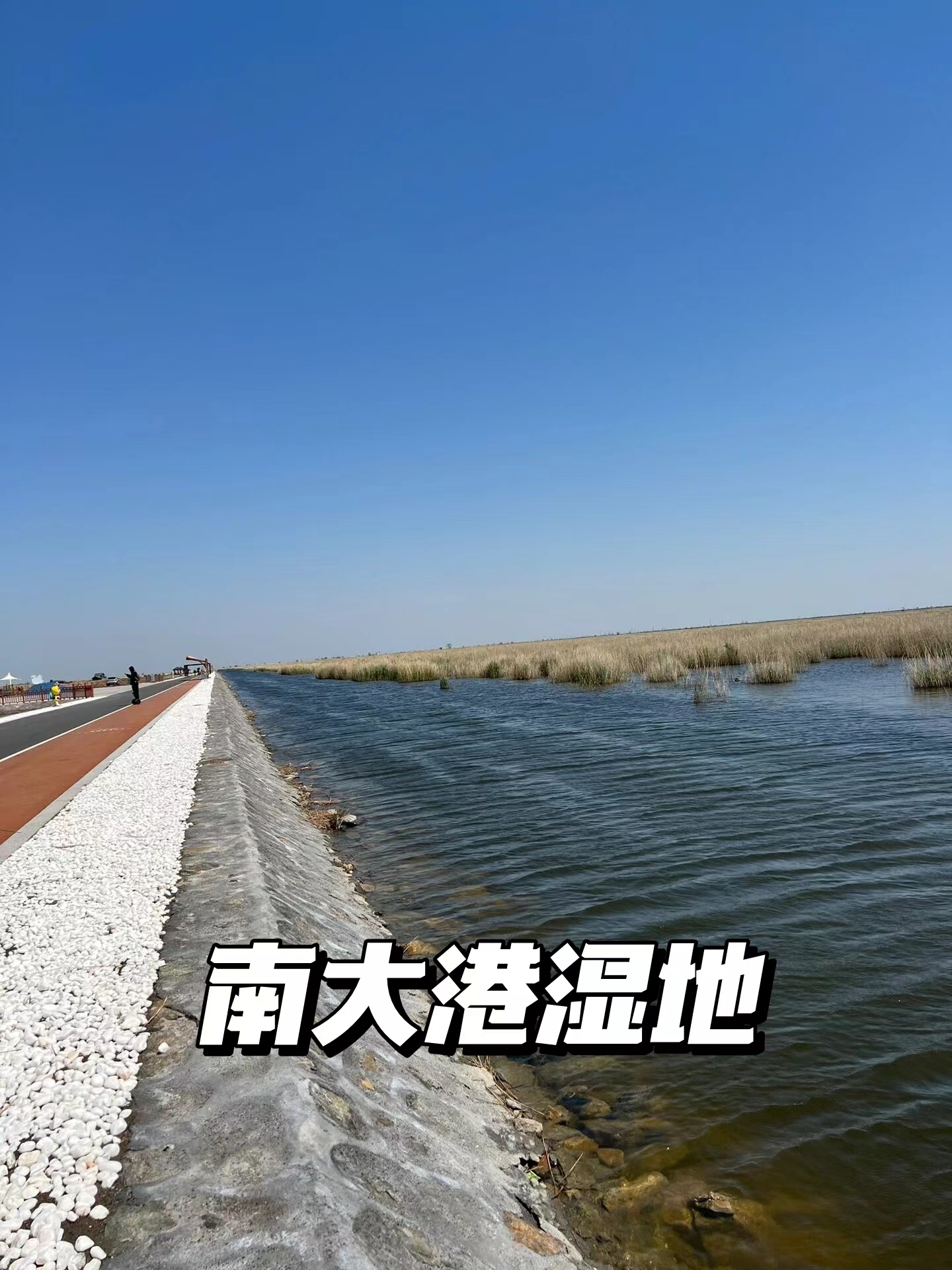 自驾游初探：河北沧州南大港湿地