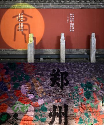 希岸Deluxe酒店(郑州亳都新象文庙地铁站店)图片