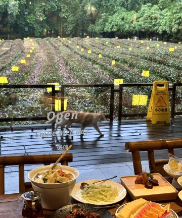 杭州殊胜龙井酒店(西湖灵隐店)图片