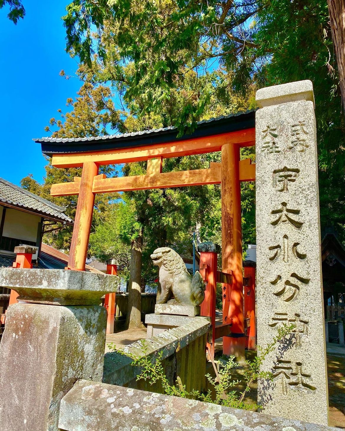 【灵性之旅】✨广岛水分神社：一次心灵与自然的交融体验！  🌳简介：探访广岛的宁静圣地  广岛水分神社