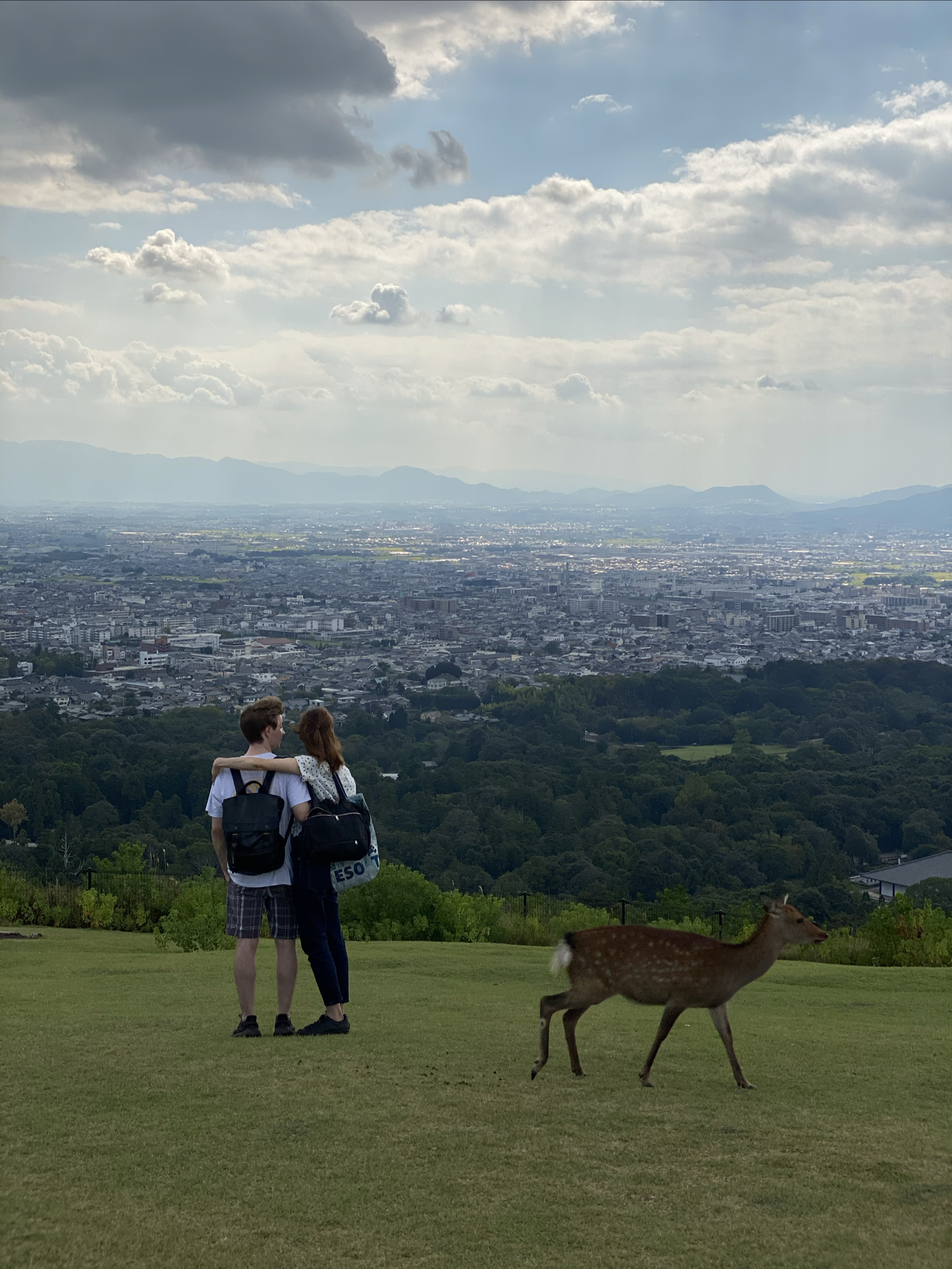 在奈良若草山为别人拍到了人生照片
