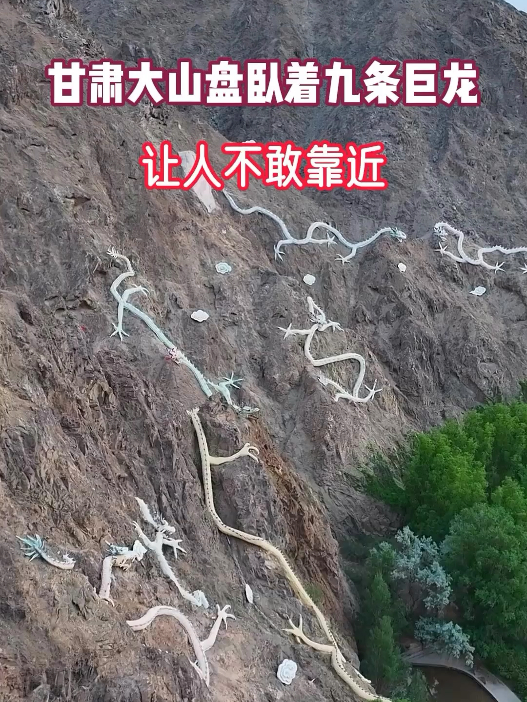 在甘肃大山半山腰，盘卧着九条巨龙，让人不敢靠近