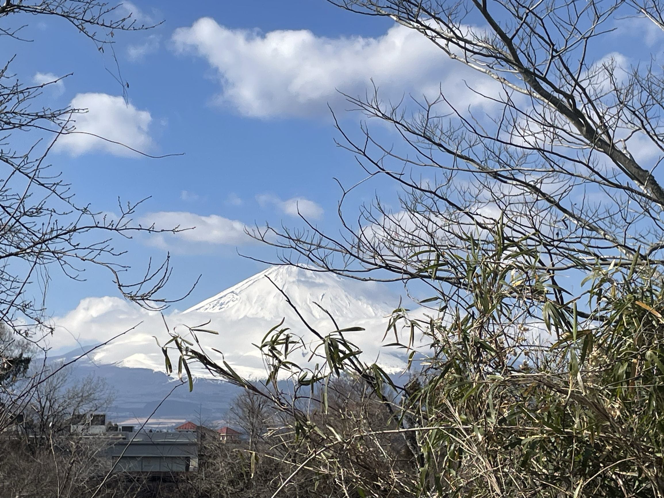 换个角度眺望富士山