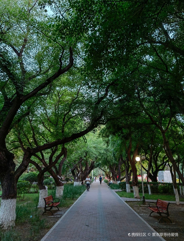 自然之美,尽在其中|打卡通辽人民公园