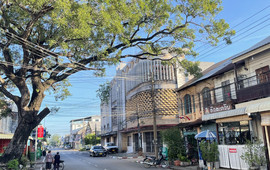ຄົວສະຫວັນເຝີເຮືອຫຼິ້ນເສັ້ນ