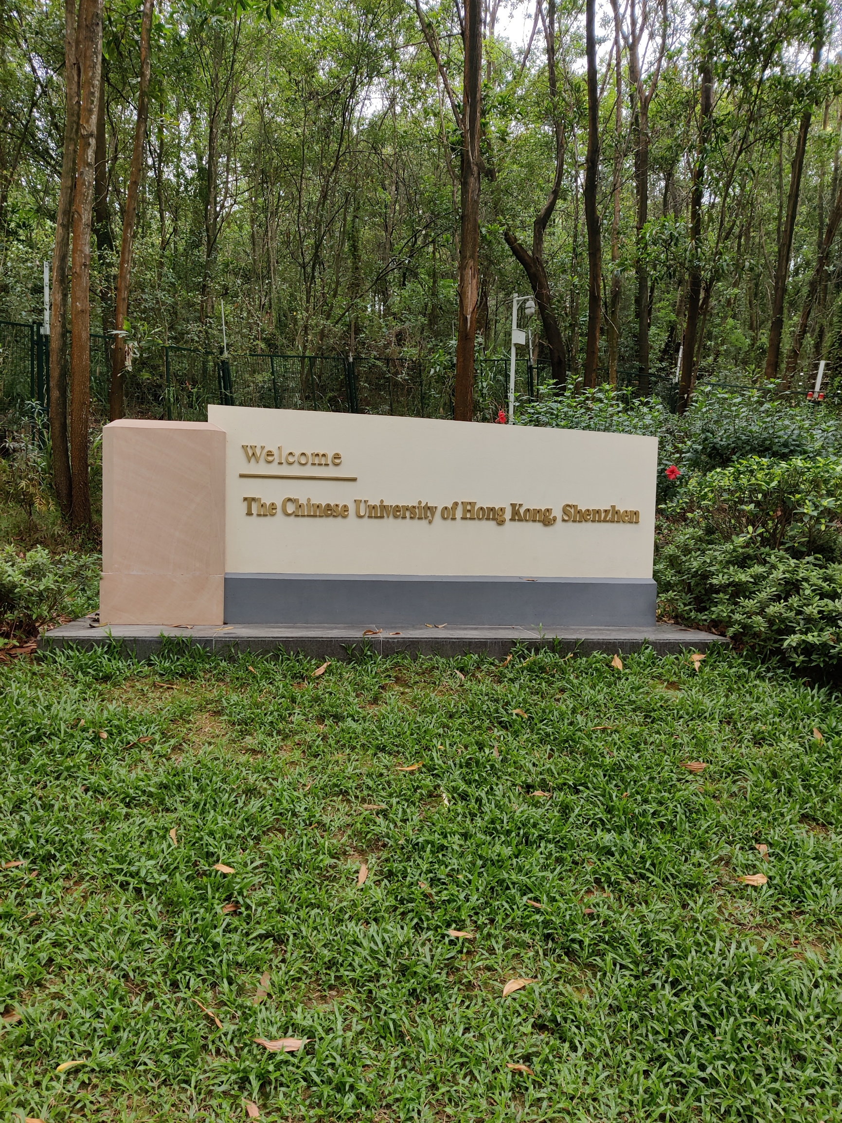 香港中文大学深圳校区由香港中文大学和深圳市政府共同合作创办，位于深圳龙岗大运片区，旨在为中国内地的大