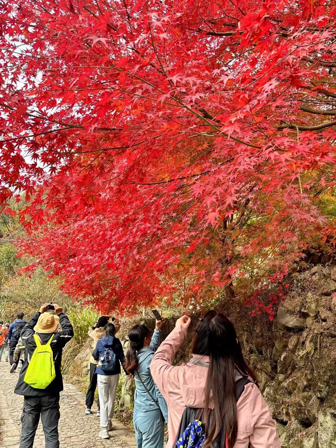 宁波四明山/属于宁波的人间仙境！