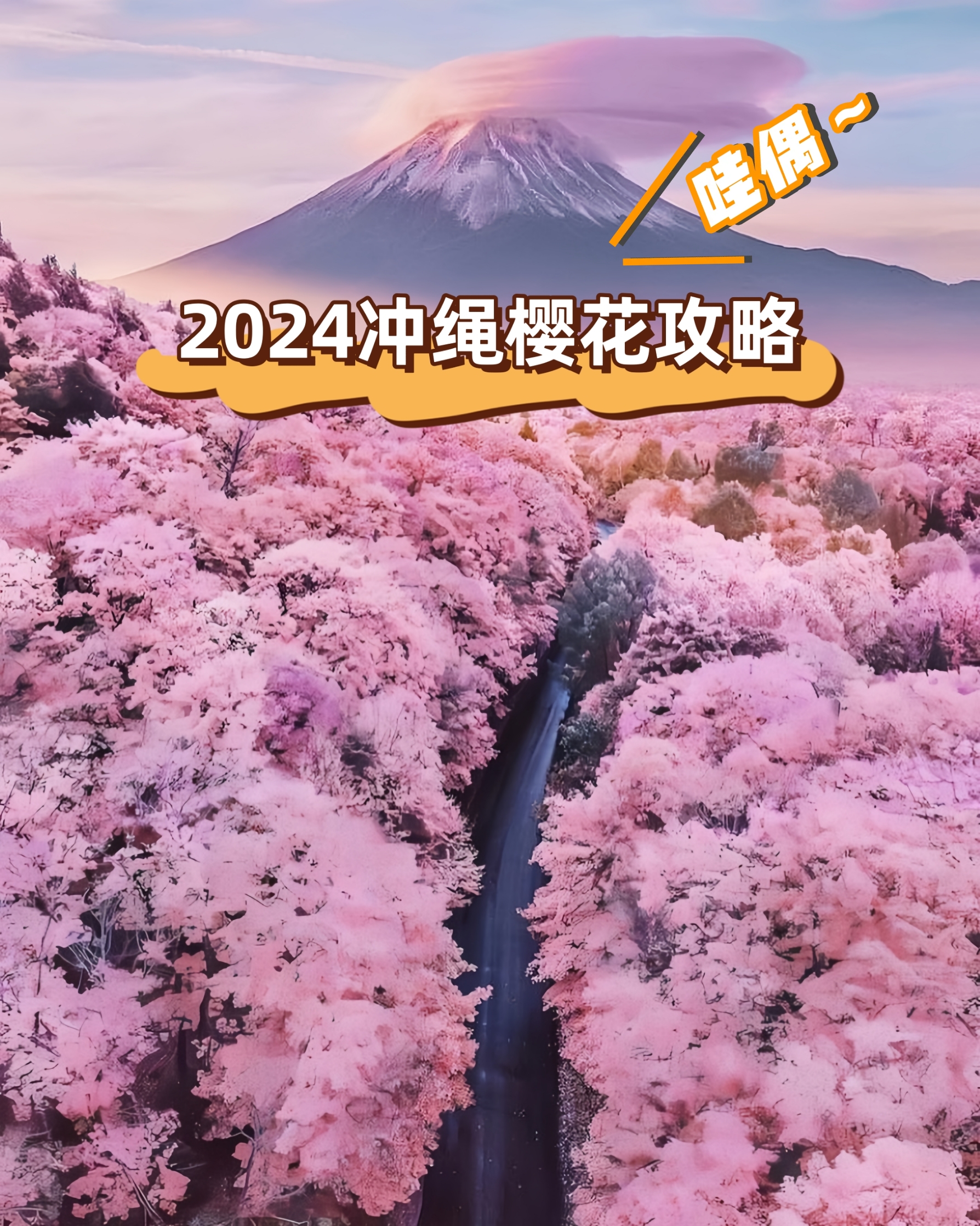 2024年日本冲绳樱花季！粉了吧❤️