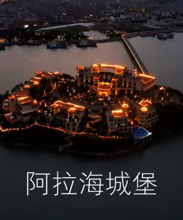 阿拉海城堡酒店图片