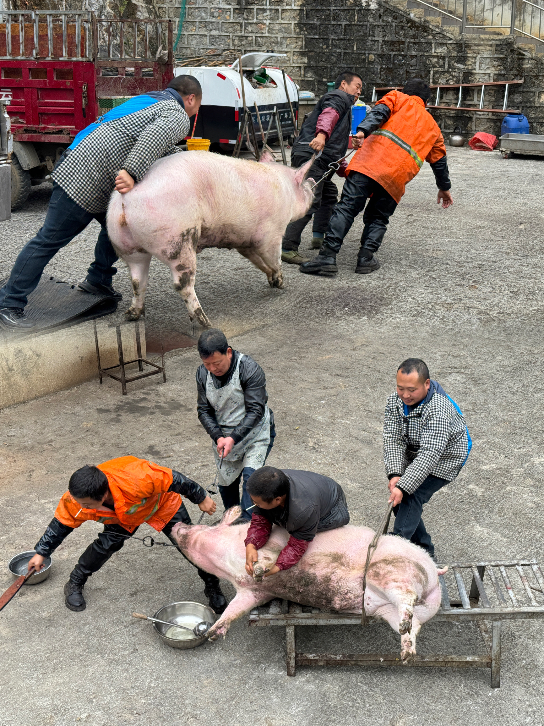 腊月到了， 贵州的杀猪饭 让人感受到浓浓的年味儿！ . 这顿饭不仅是庆祝杀猪的重大事件，更是拉近邻里