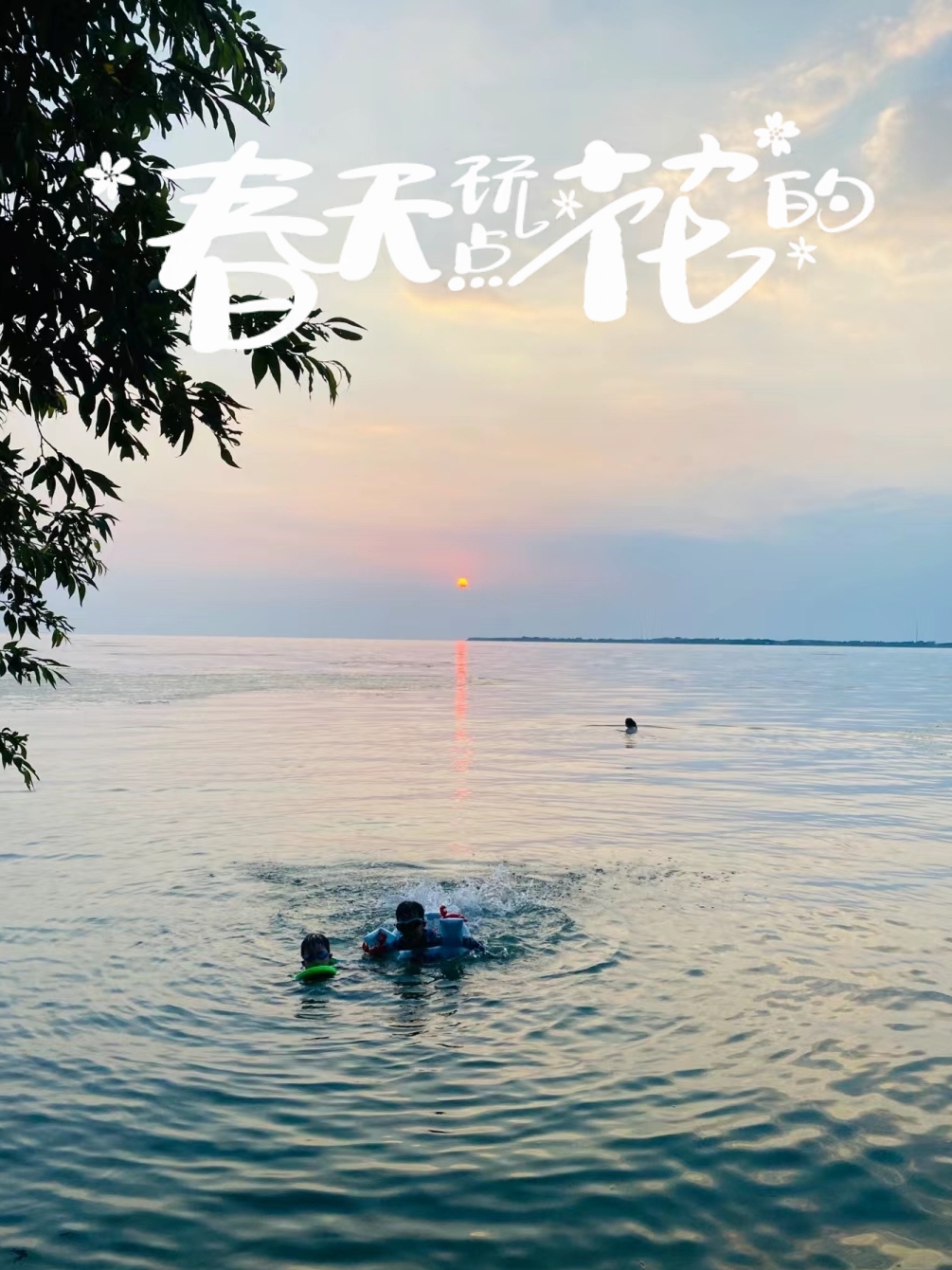 太美太湖旅游区：探寻江南水乡的韵味与自然的交融🍀