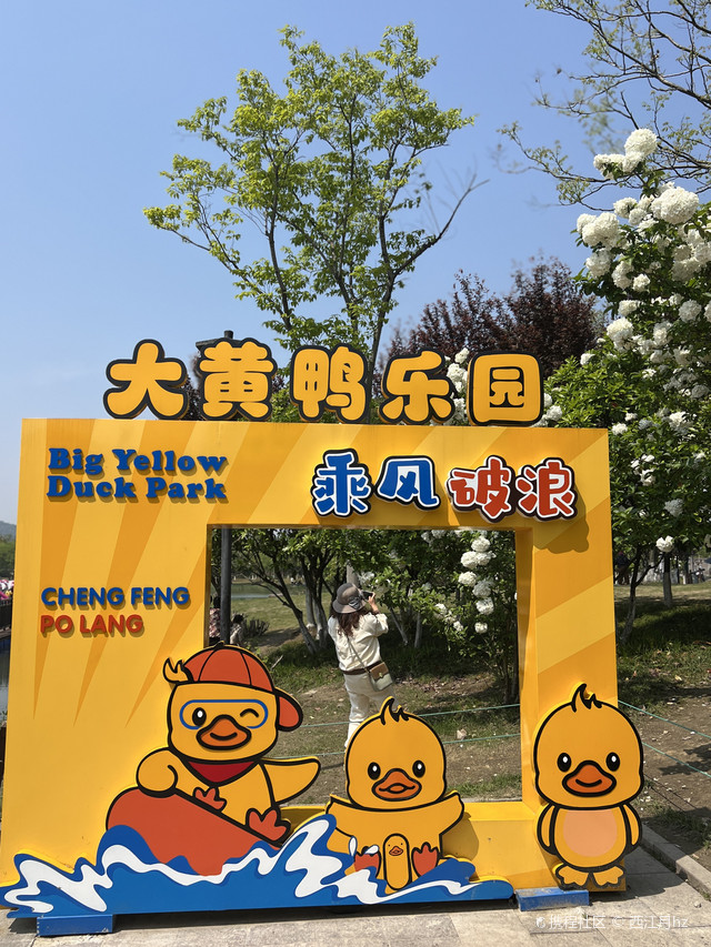 杭州湘湖|听我劝,周末千万别去大黄鸭乐园啦!
