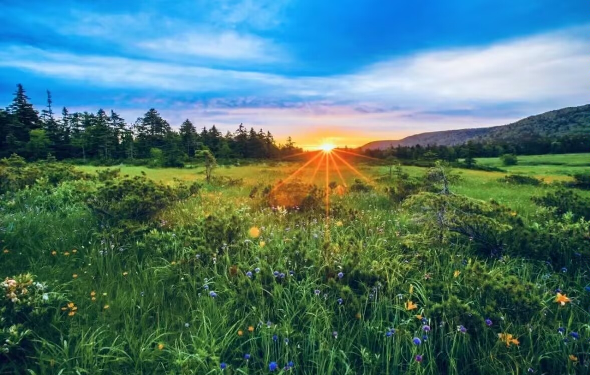 丰年居韩国烤肉(兴业小区店)餐厅图片