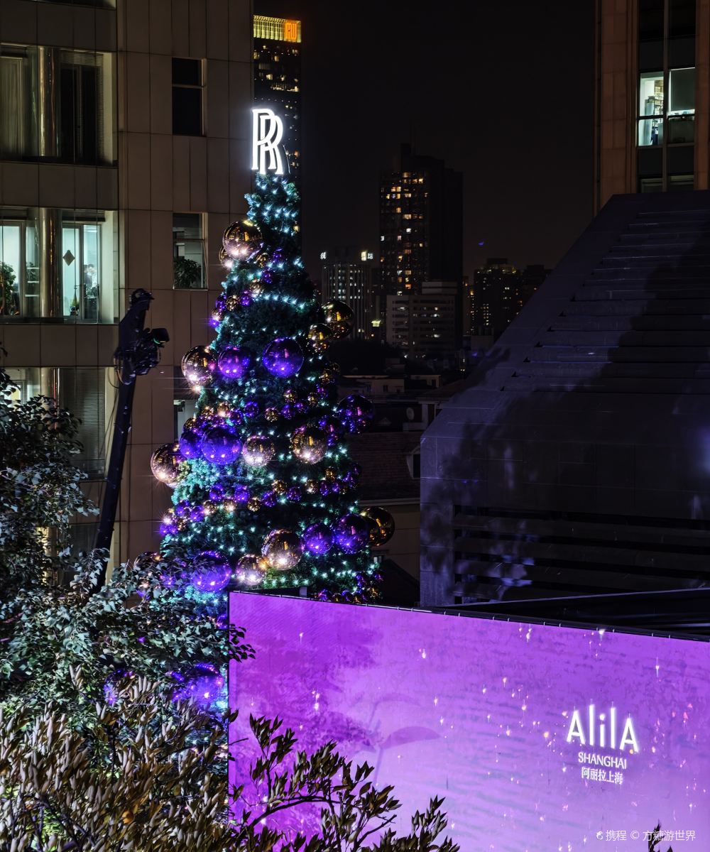 阿丽拉上海图片