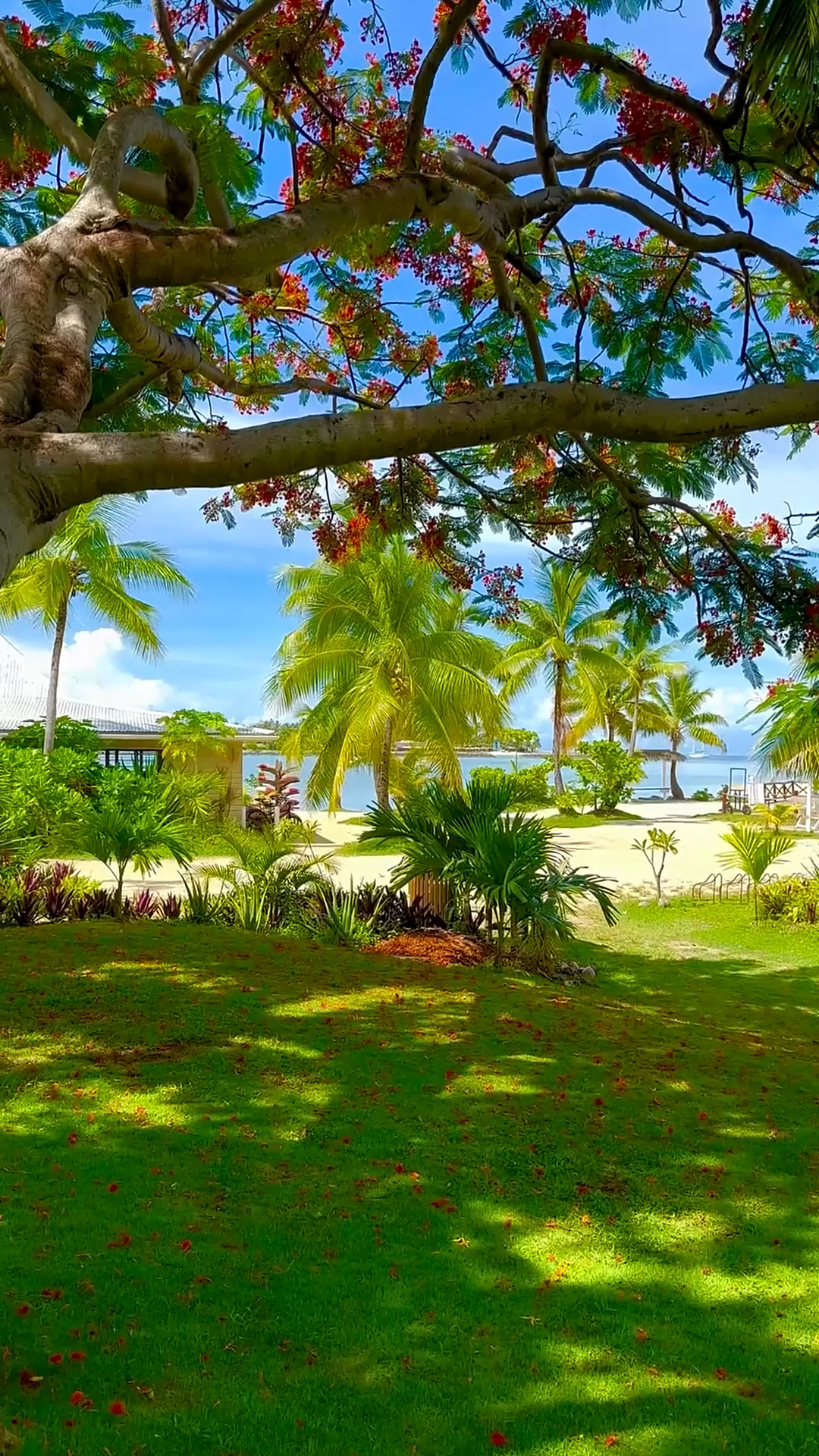 斐济，旅游爱好者的圣地