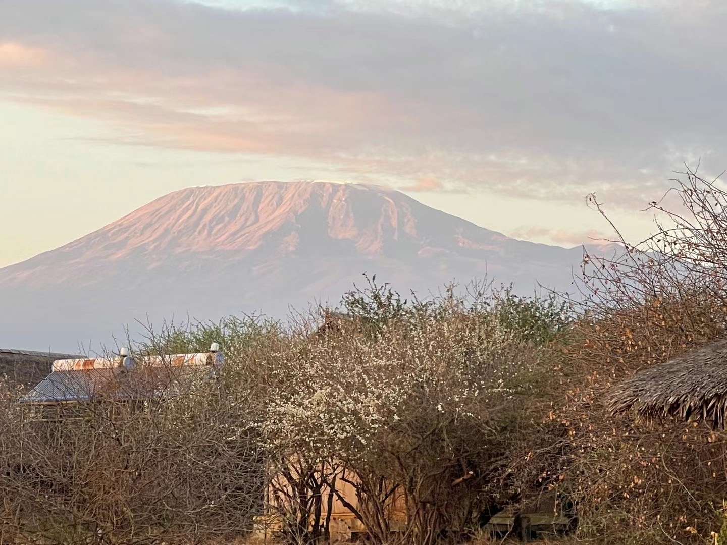 乞力马扎罗山，许多地理学家称它为“非洲之王”。该山的主体以典型火山曲线向下面的平原倾斜，平原的高度约