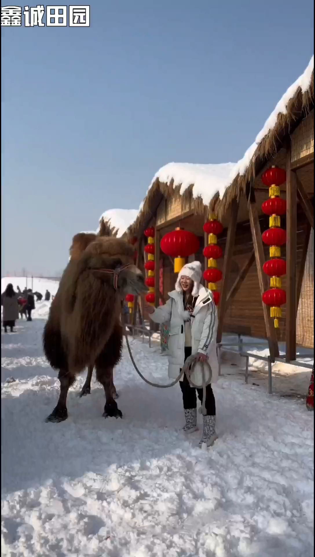 去不了东北雪乡，就带娃去这里吧，