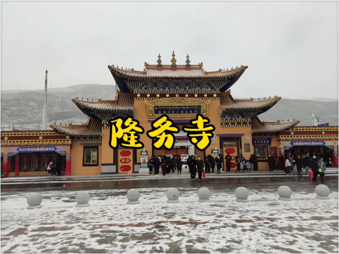 青海｜正月法会的雪中隆务寺