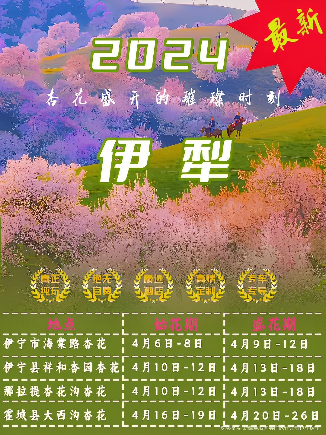 别错过2024年伊犁杏花盛开的璀璨时刻