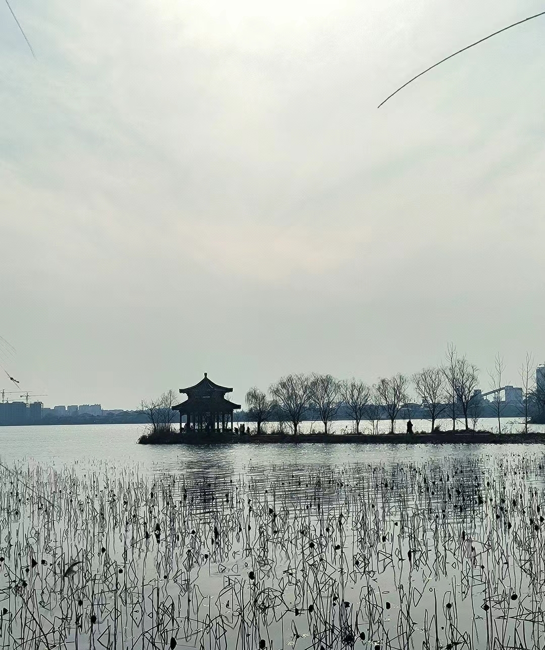淮北南湖湿地公园