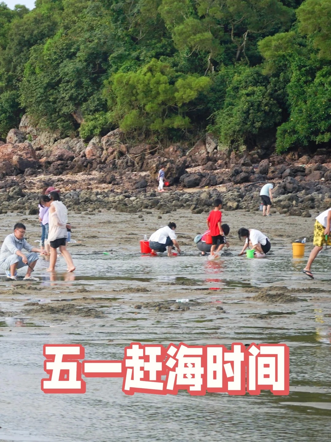 阳江海陵岛｜体验不一样的海岛赶海🦀