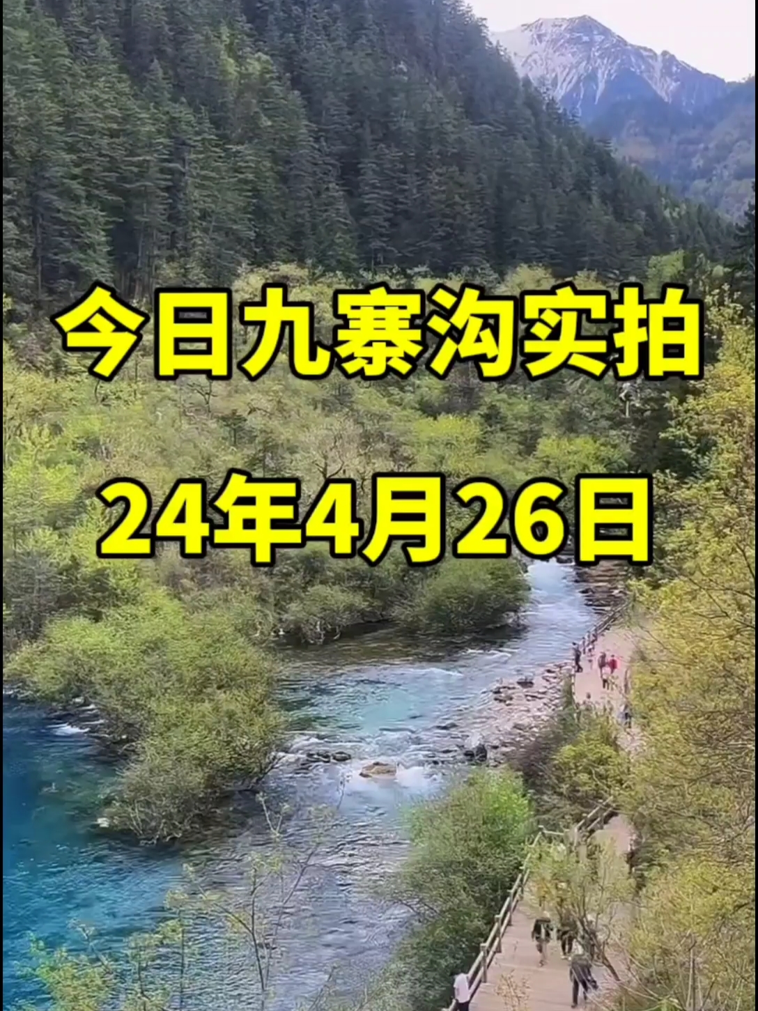 24.4.26九寨沟实拍