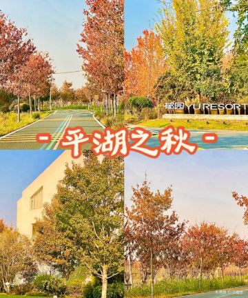 郁园乡野度假村图片