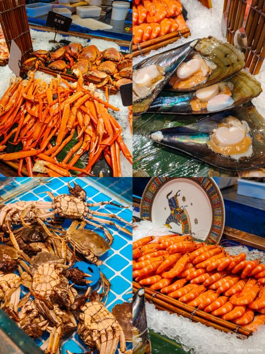 Gallery 4