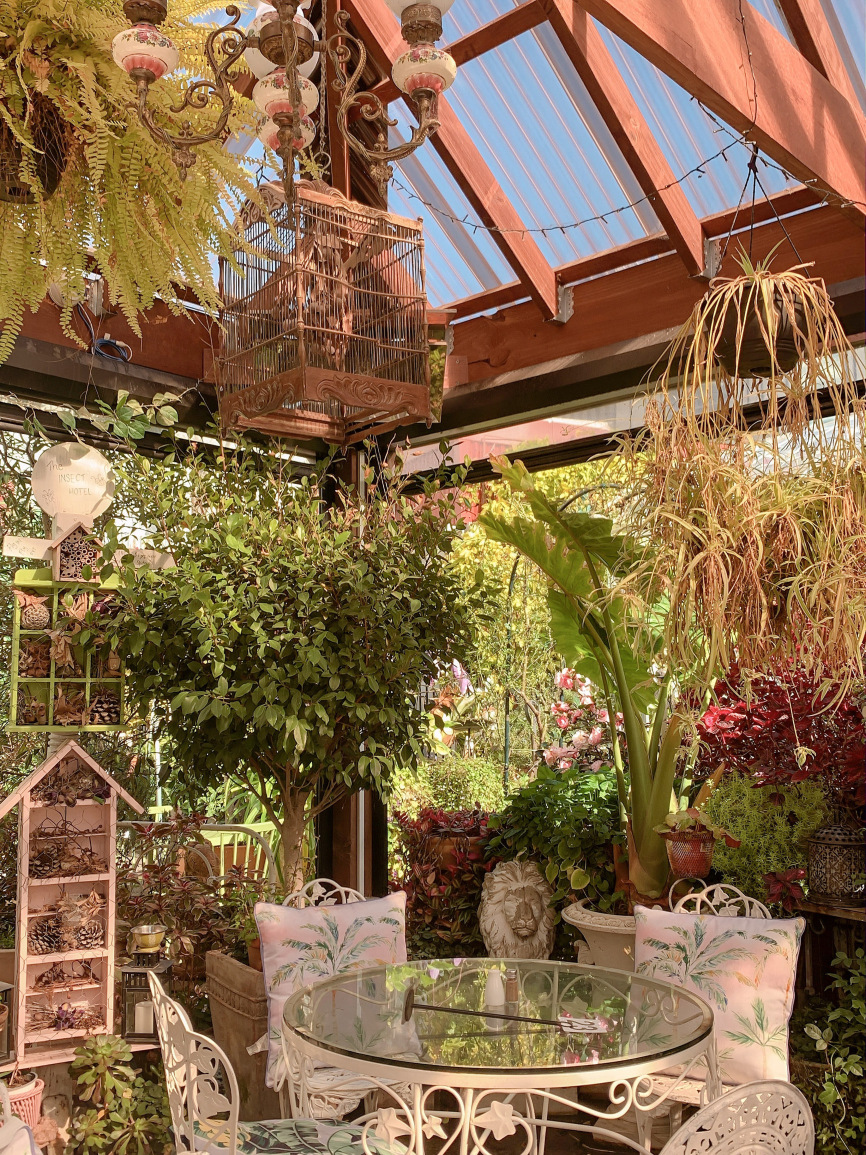 Old Man Drew餐厅图片