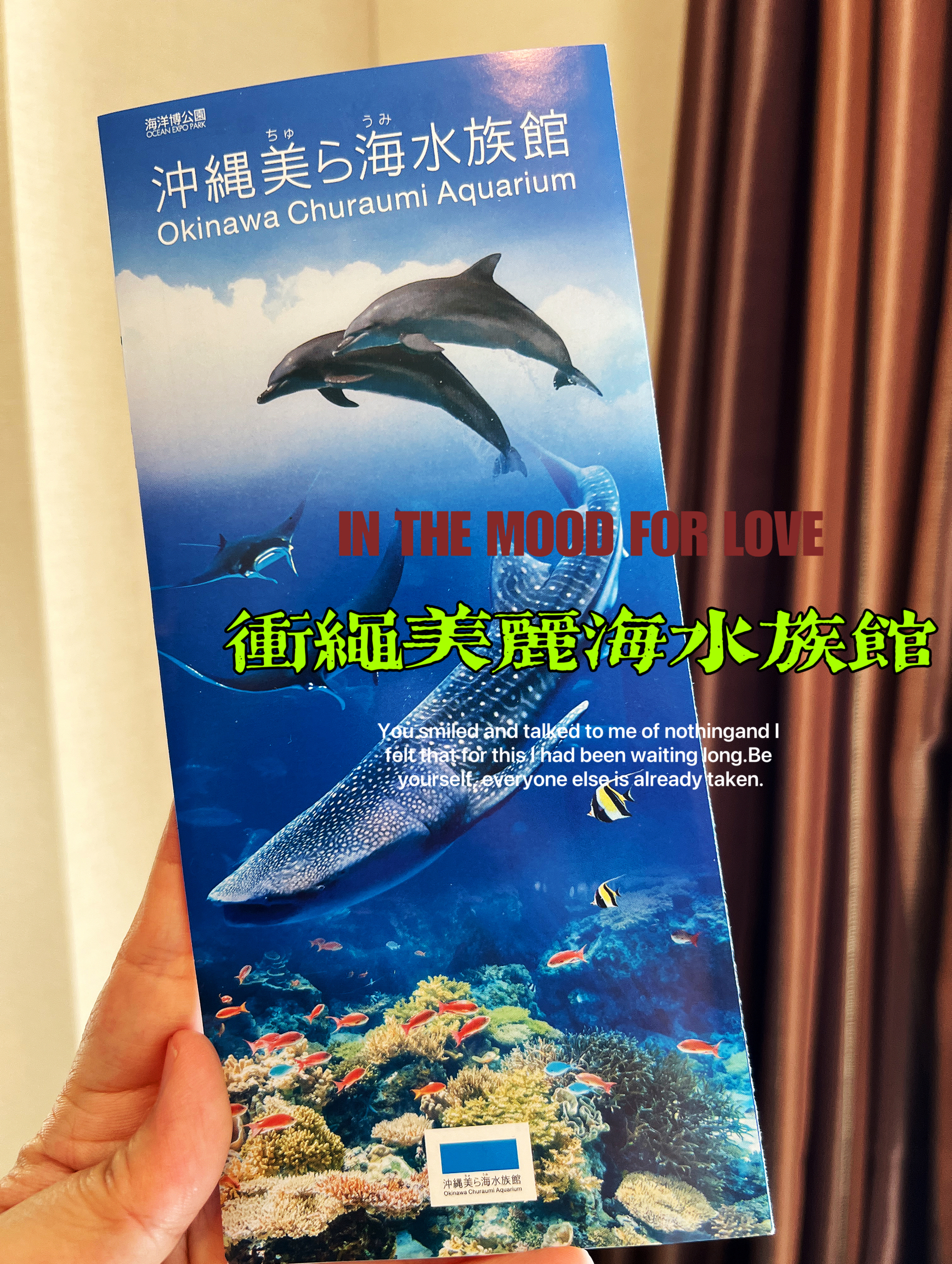 春天玩点花的｜到了冲绳🌊总得去一次美丽海水族馆吧！🐬🐠
