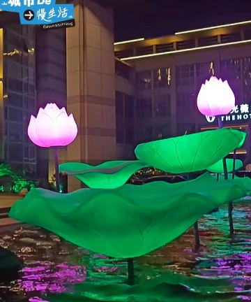 句容曙光国际大酒店图片