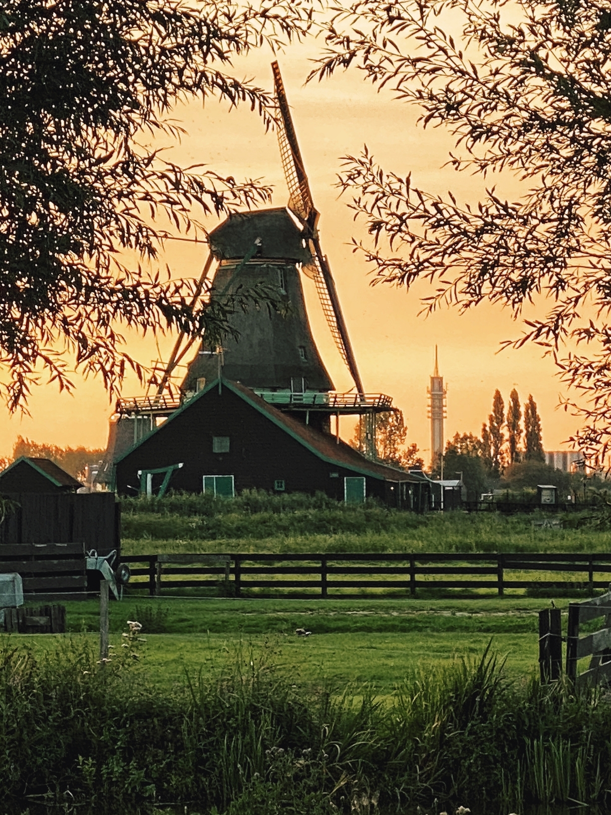 荷兰🇳🇱必打卡｜Zaanse Schans风车村的日落时分